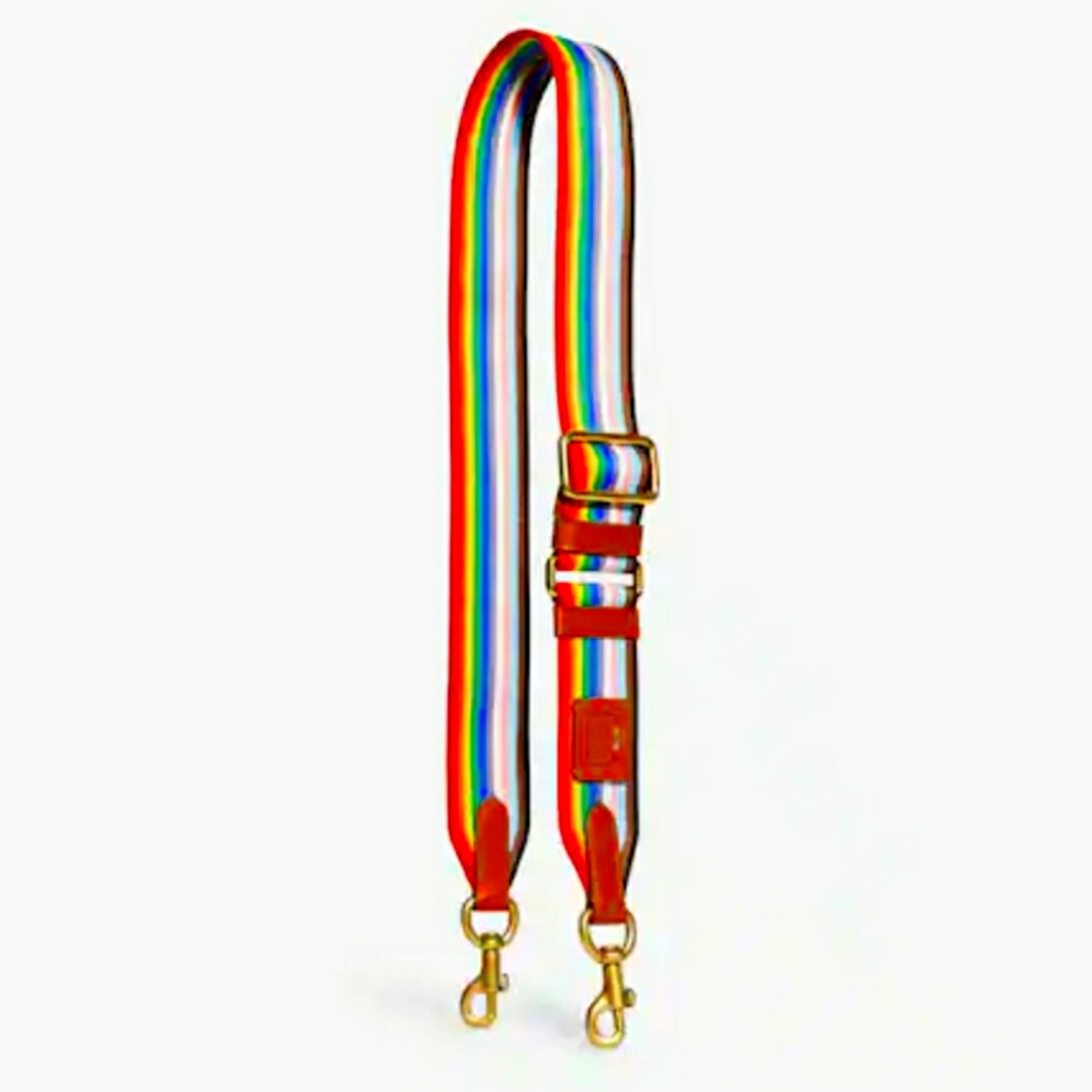 Coach Rainbow Webbing Strap 🌈 NWT - NEVER USED!!!